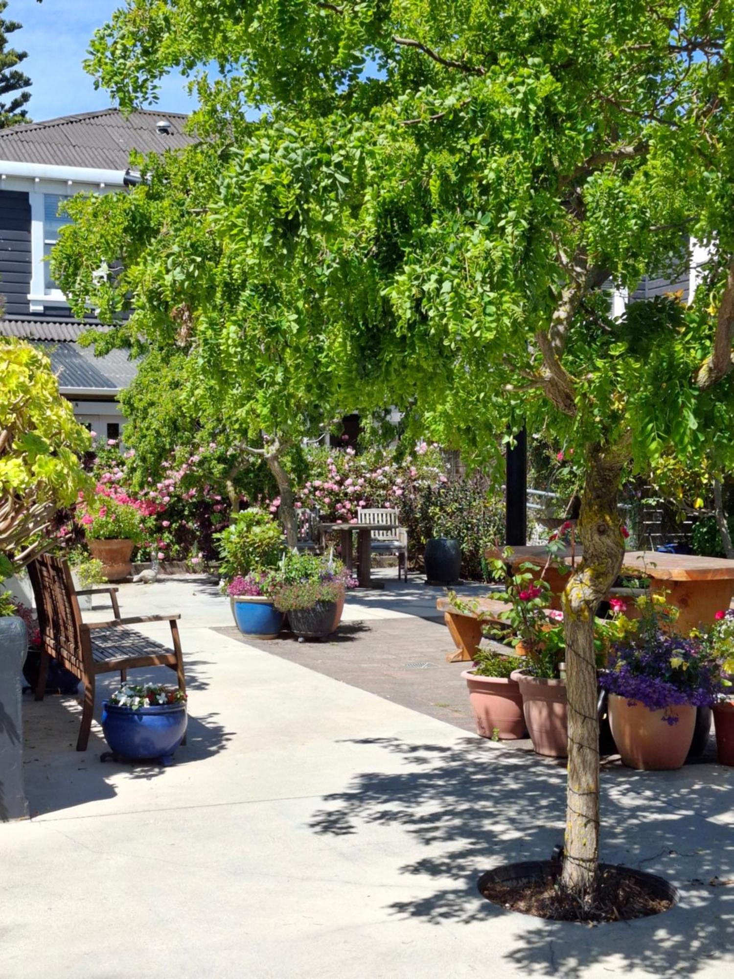 Boutique Hotel Kaikoura Luaran gambar