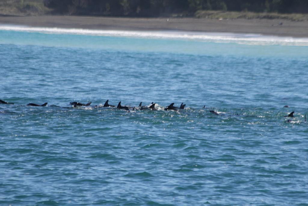 Boutique Hotel Kaikoura Luaran gambar