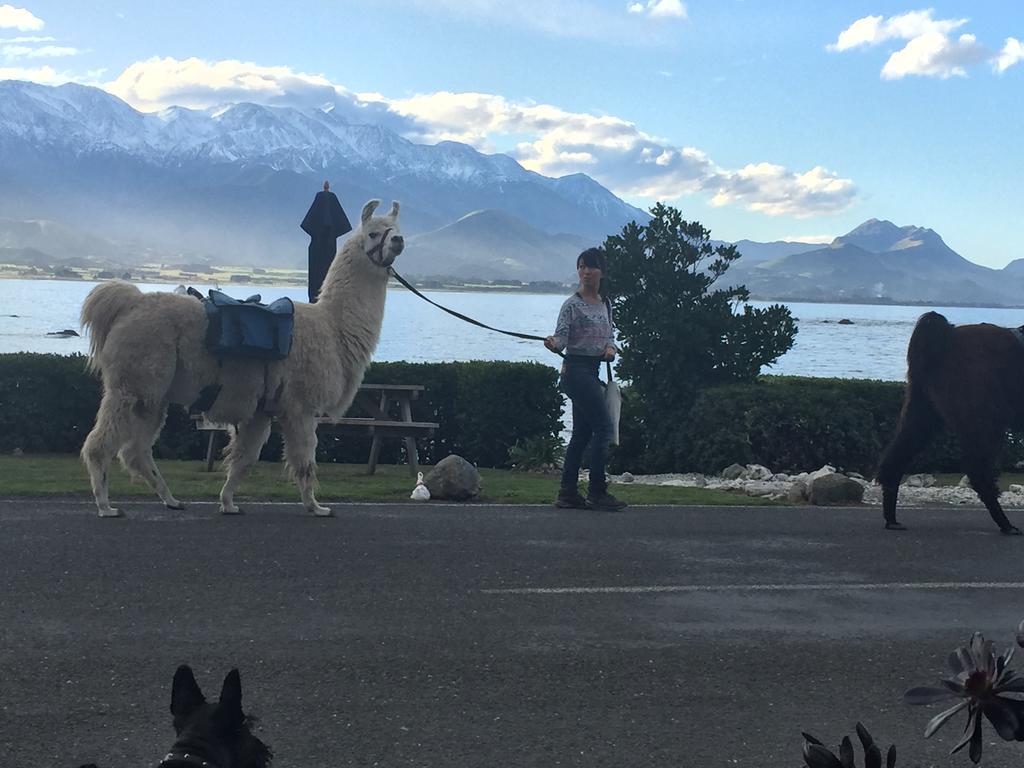 Boutique Hotel Kaikoura Luaran gambar